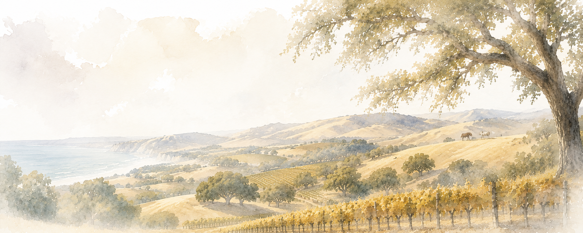 Paso Robles wine country — the Central Coast watercolor